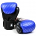 Боксерские перчатки Twins FBGV-TW1 blue
