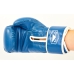 Перчатки боксерские BAD BOY STRIKE 12oz VL-6615-B