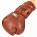 Перчатки боксерские BAD BOY LEGACY 2.0 VL-6618-BR