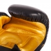 Боксерские перчатки Twins Dragon 0270-G 10oz
