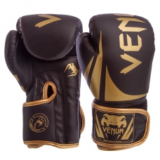 Боксерские перчатки Venum BO-8352-BKG 12oz