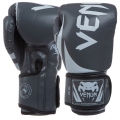Боксерские перчатки Venum BO-8352-G 10oz